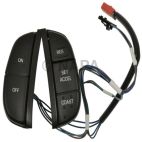 Cruise Control Switch