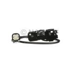 Park Assist Camera