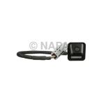 Park Assist Camera