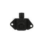 Park Assist Camera