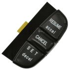 Cruise Control Switch