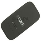 Cruise Control Switch