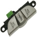 Cruise Control Switch