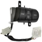 Cruise Control Switch