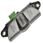 Cruise Control Switch