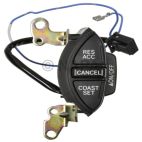 Cruise Control Switch