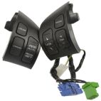 Cruise Control Switch