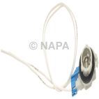 Back Up Light Socket