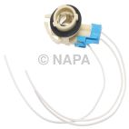 Combination Light Socket