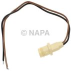 Side Marker Light Socket