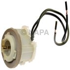 Back Up Light Socket