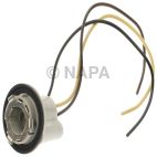 Combination Light Socket