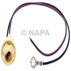 Combination Light Socket