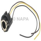 Combination Light Socket
