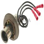 Combination Light Socket