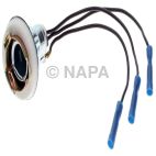 Combination Light Socket