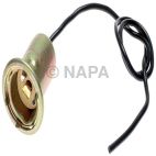 License Plate Light Socket