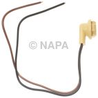License Plate Light Socket