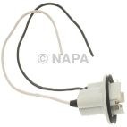 Back Up Light Socket