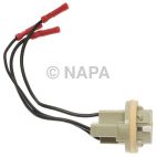 Combination Light Socket