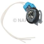 Combination Light Socket