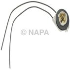 Back Up Light Socket