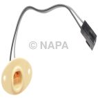 License Plate Light Socket