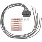 Accelerator Pedal Sensor Connector