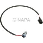 Back Up Light Switch