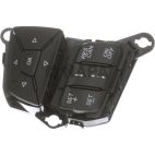 Cruise Control Switch