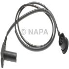 Engine Crankshaft Position Sensor