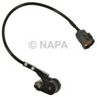 Engine Crankshaft Position Sensor