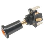 Push Pull Switch