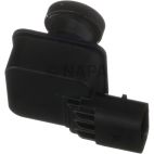 Park Assist Camera