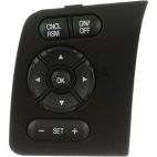 Cruise Control Switch