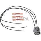 Engine Crankshaft Position Sensor Connector