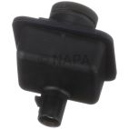 Park Assist Camera