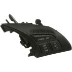 Cruise Control Switch