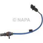 Engine Crankshaft Position Sensor