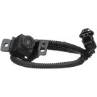Park Assist Camera