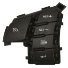 Cruise Control Switch