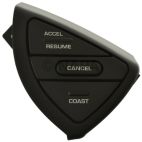 Cruise Control Switch