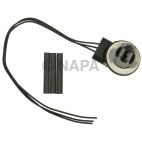 Brake Light Socket