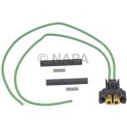 Fog Light Socket