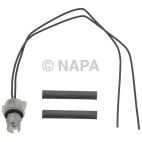 License Plate Light Socket