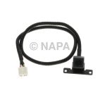 Park Assist Camera