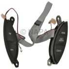 Cruise Control Switch