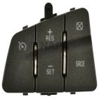 Cruise Control Switch