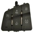 Cruise Control Switch