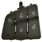 Cruise Control Switch